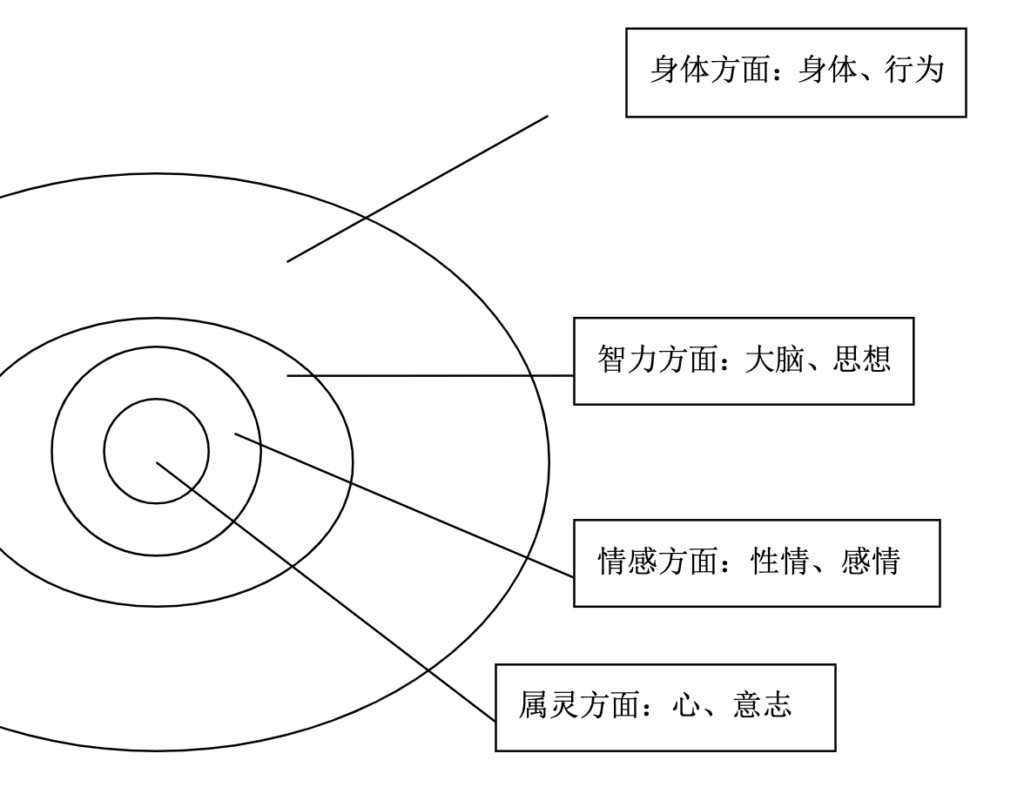 智力方面：大脑、思想
情感方面：性情、感情
属灵方面：心、意志
身体方面：身体、行为